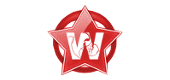 Wulcanix Team