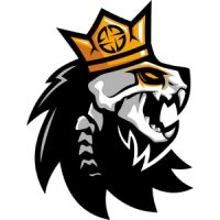 Team logo