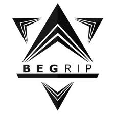 begrip