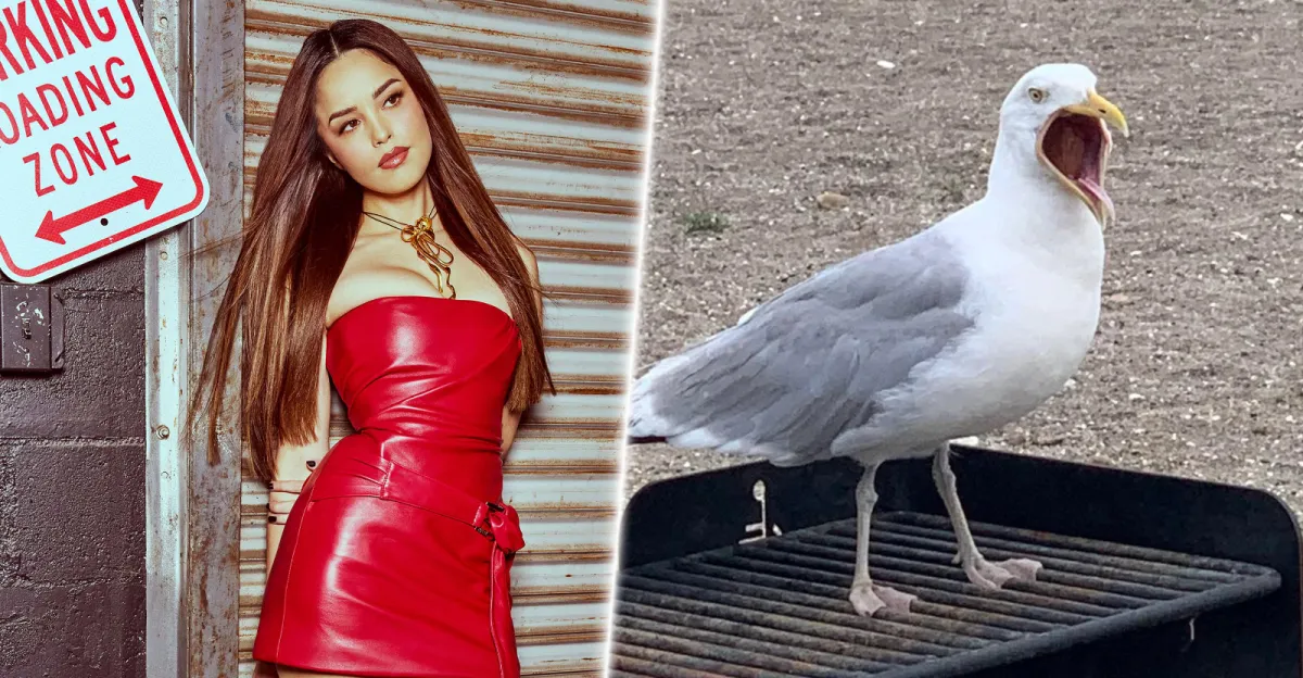 Valkyrae rackem ve Waterpark Simulatoru