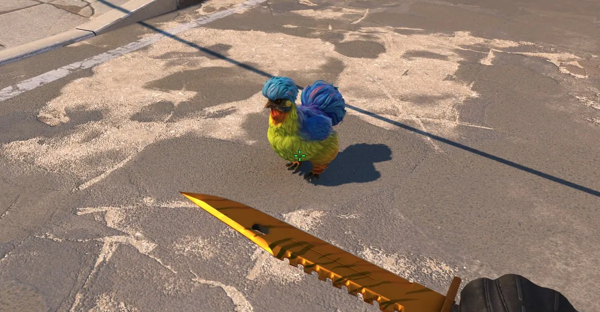 Jedno z možných zbarvení Pet Chicken