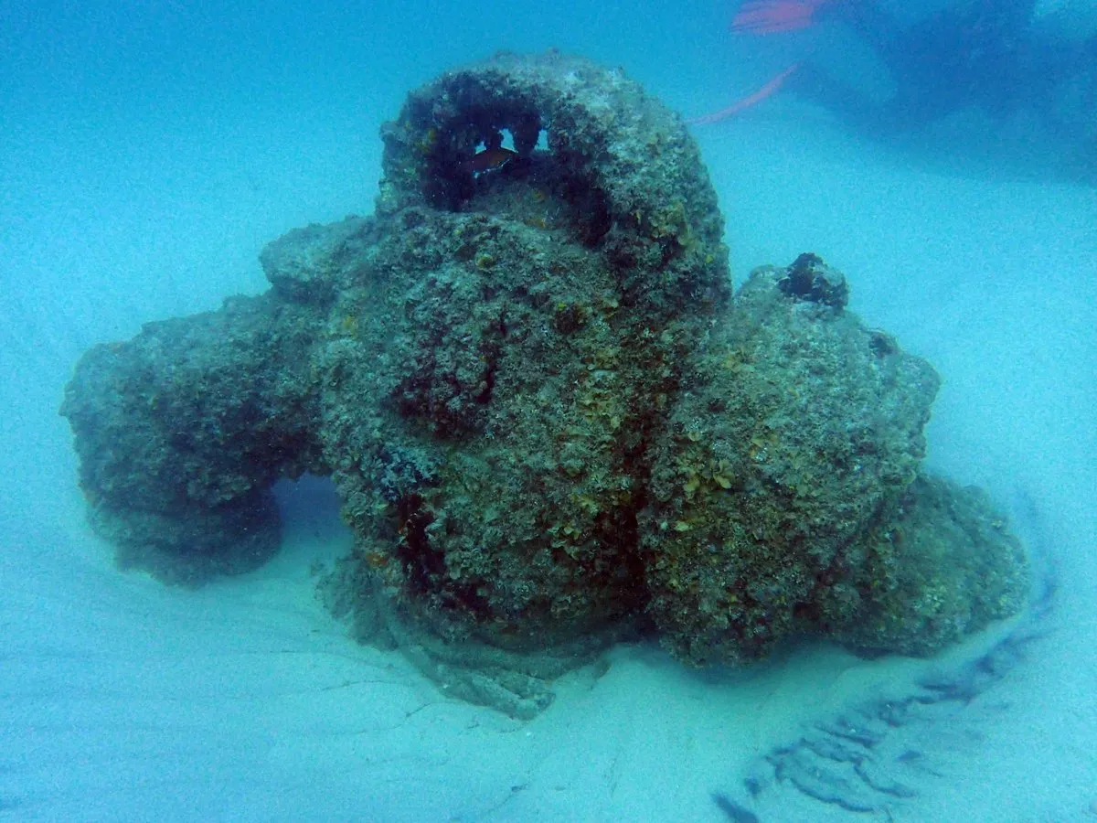 Natutilus po 10 letech v oceánu