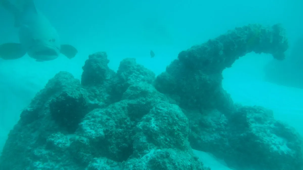 Natutilus po 10 letech v oceánu