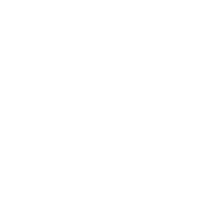 BRUTE - logo