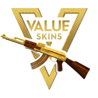 Value Skins - logo