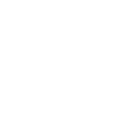 Team Spirit - logo