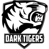 Dark Tigers Academy - logo