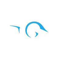 Team Gravity - logo