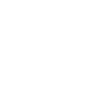 BIG Academy - logo