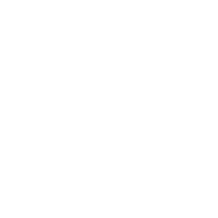 TSM - logo