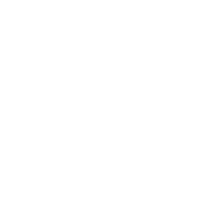 Team Unique - logo