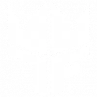 Team Finest - logo