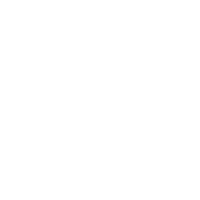 Cyber Wolves Esports - logo