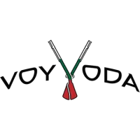 VOYVODA - logo