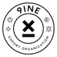 9INE - logo