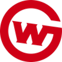 Wildcard - logo