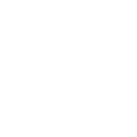 Partizan - logo
