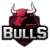 GTZ Bulls - logo - náhled