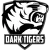 Dark Tigers Academy - logo - náhled