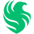 Falcons - logo - náhled