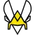 Team Vitality - logo - náhled