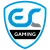 ESC Gaming - logo - náhled