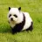 Pandas are Awesome Pandas are Awesome