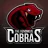 The Venomous Cobras #2 