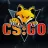 FoX-clan.cz (CSGO)