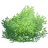 Bush_TeamCZ Bush_TeamCZ