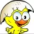 Team_Chicko