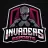 Invaders eSports