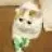 Meowsterious Meowsterious