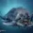 DarkFish DarkFish
