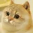 JUSTCATE