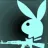 Bjesnitel