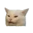 StefiW StefiW