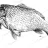 Rower_RL