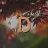 danda_72