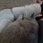 ondrayoutubegames ondrayoutubegames