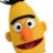 bert2