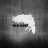 White Crow Orgless