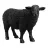 BLACK SHEEPS 