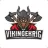 Vikingekrig Esports