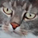 NoobFrankie
