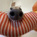 Dzejkys