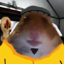 Vashek