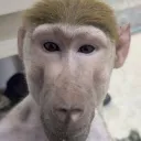 TheEvilDavid