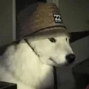 Frostikbs