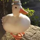 Hasty_